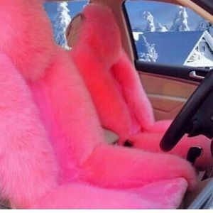 Meet your Posher, Lola